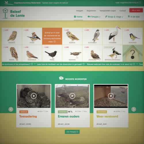 BASt | Vogelfunda 23 BASt | Vogelfunda
